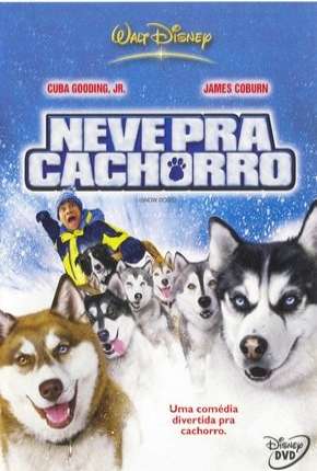 Neve pra Cachorro