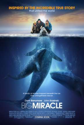 O Grande Milagre - Big Miracle