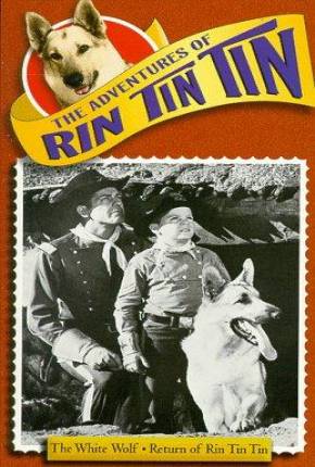 As Aventuras de Rin Tin Tin - 1ª Temporada